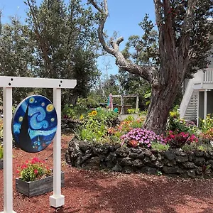 The Art Garden- Hibiscus Hawaiian Ocean View